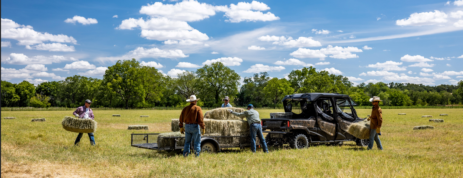 Honda Fleet Program at Hamburg Honda – Buffalo NY